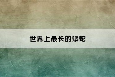 世界上最长的蟒蛇