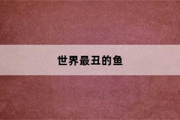 世界最丑的鱼