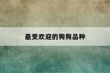 最受欢迎的狗狗品种
