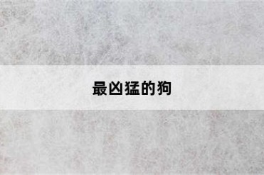 最凶猛的狗