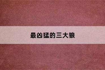 最凶猛的三大狼