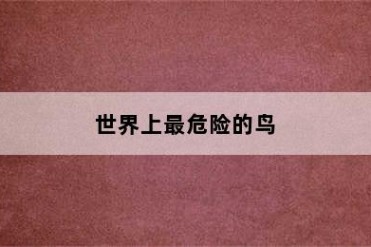 世界上最危险的鸟
