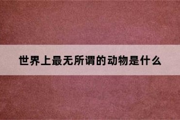 世界上最无所谓的动物是什么