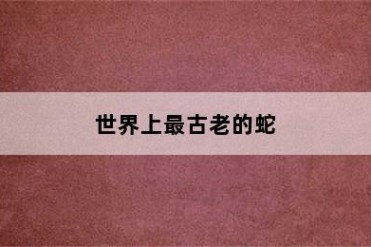 世界上最古老的蛇