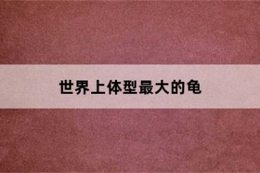 世界上体型最大的龟