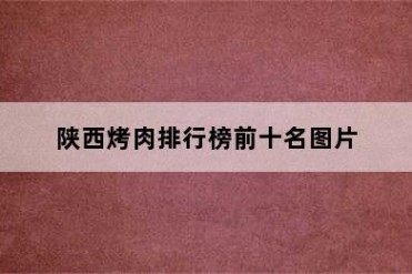 陕西烤肉排行榜前十名图片