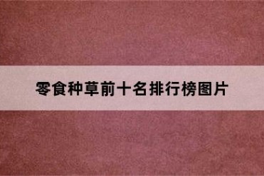 零食种草前十名排行榜图片