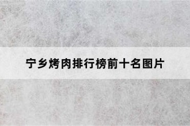宁乡烤肉排行榜前十名图片