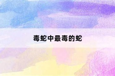 毒蛇中最毒的蛇