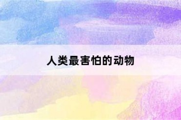 人类最害怕的动物