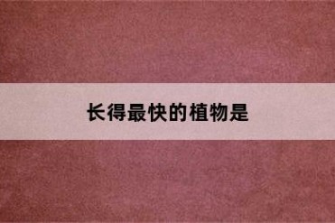 长得最快的植物是