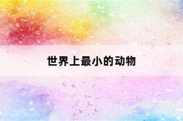 世界上最小的动物