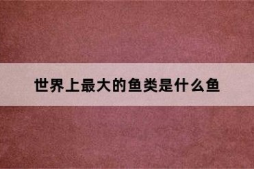 世界上最大的鱼类是什么鱼