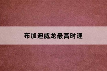 布加迪威龙最高时速