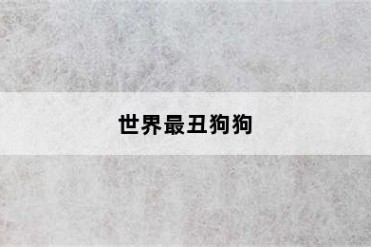 世界最丑狗狗