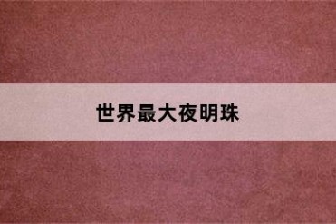世界最大夜明珠