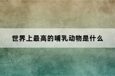 世界上最高的哺乳动物是什么