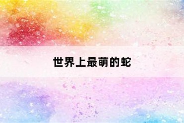 世界上最萌的蛇