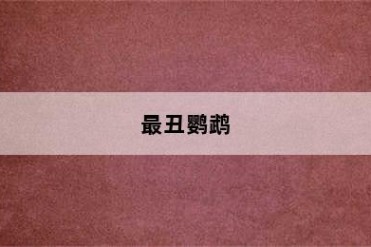 最丑鹦鹉