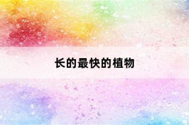 长的最快的植物
