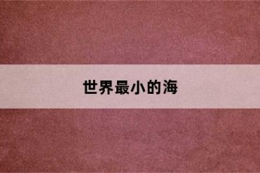 世界最小的海