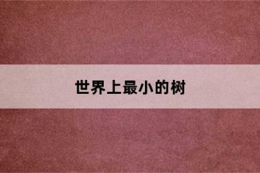 世界上最小的树