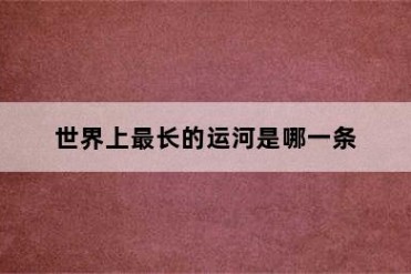 世界上最长的运河是哪一条
