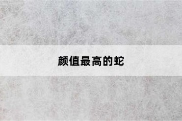 颜值最高的蛇