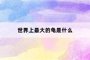 世界上最大的龟是什么
