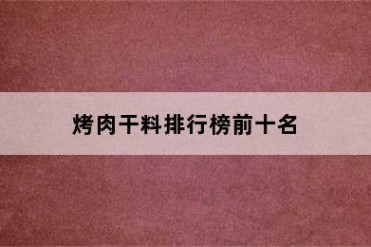烤肉干料排行榜前十名