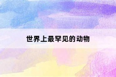 世界上最罕见的动物