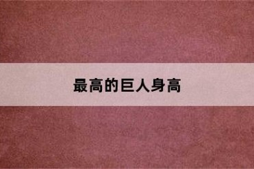 最高的巨人身高