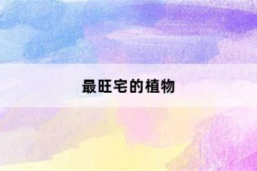 最旺宅的植物