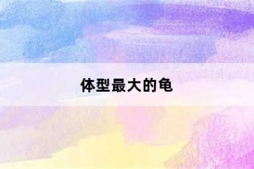 体型最大的龟