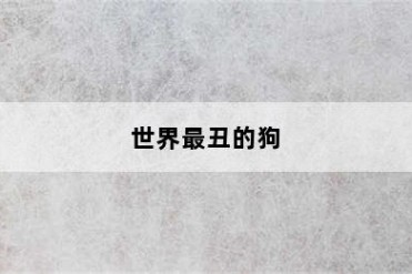 世界最丑的狗