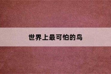 世界上最可怕的鸟