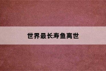 世界最长寿鱼离世