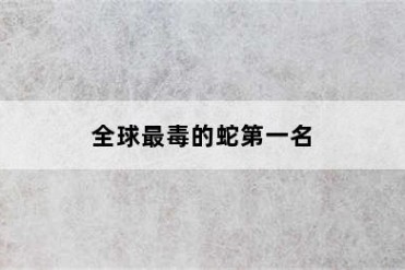 全球最毒的蛇第一名
