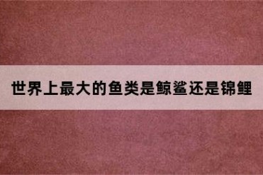 世界上最大的鱼类是鲸鲨还是锦鲤