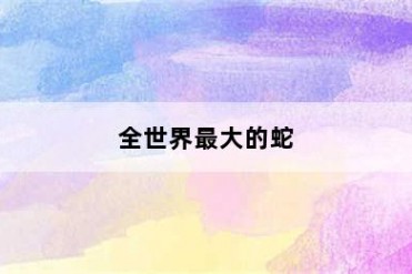 全世界最大的蛇
