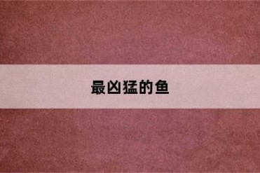 最凶猛的鱼