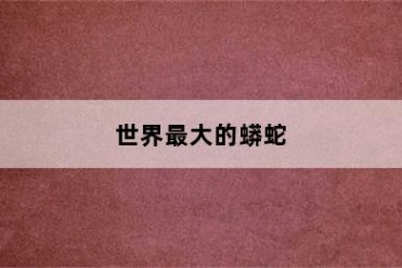 世界最大的蟒蛇