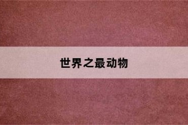 世界之最动物
