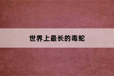 世界上最长的毒蛇