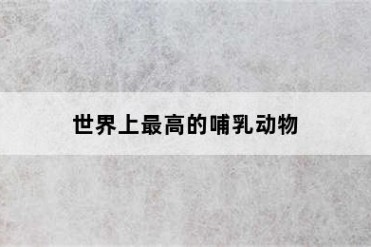 世界上最高的哺乳动物