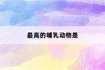 最高的哺乳动物是