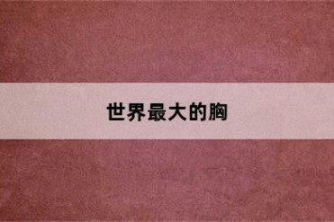 世界最大的胸