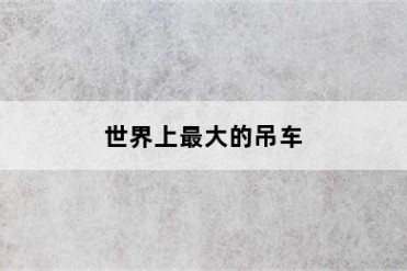 世界上最大的吊车