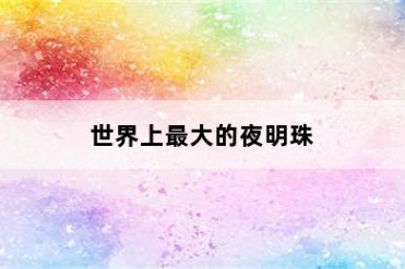 世界上最大的夜明珠