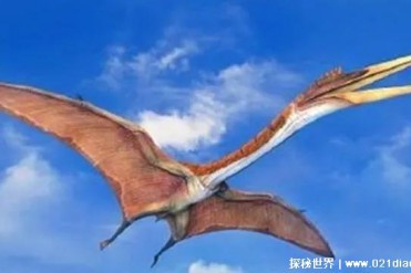 世界上有史以来最大的飞行动物是哪种 体型无比的...